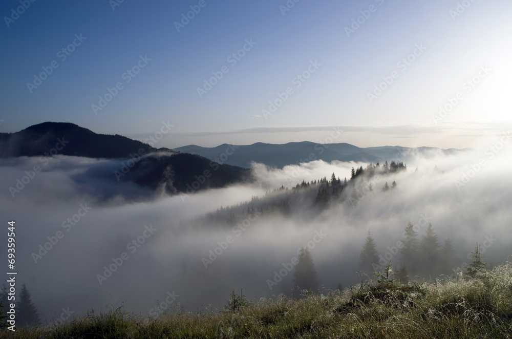 Fototapeta premium evening mountain plateau landscape (Carpathian, Ukraine)
