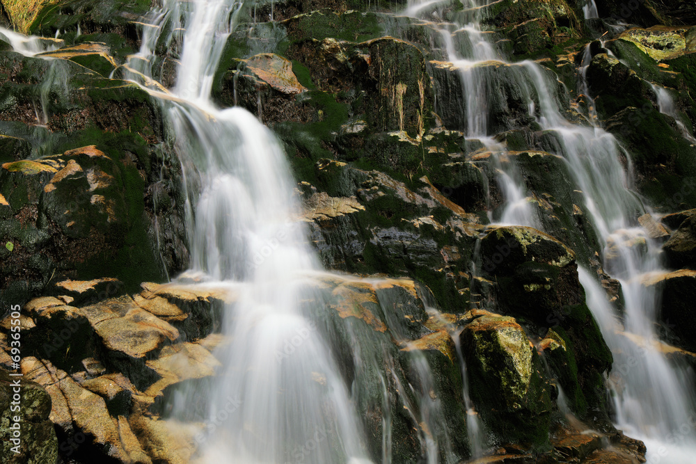 Stream in the forest surrounded by a beautiful scenics