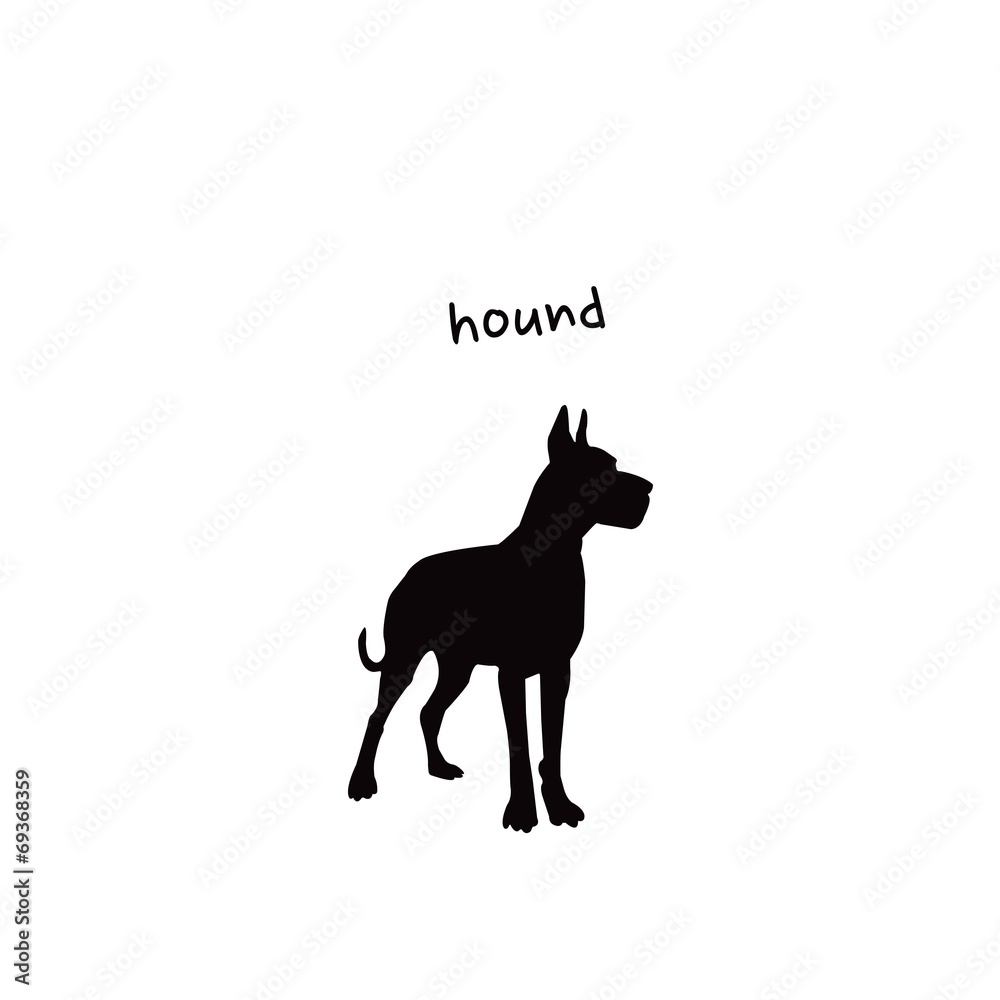 하운드 하운드