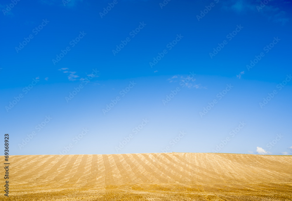 Fototapeta premium yellow blue horizon
