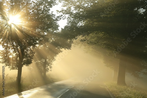 Country road on a misty morning