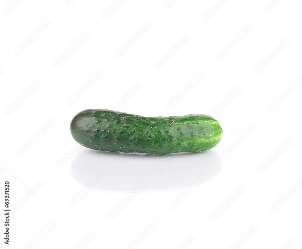 Fresh ripe cucumber. Fresh ripe cucumber.