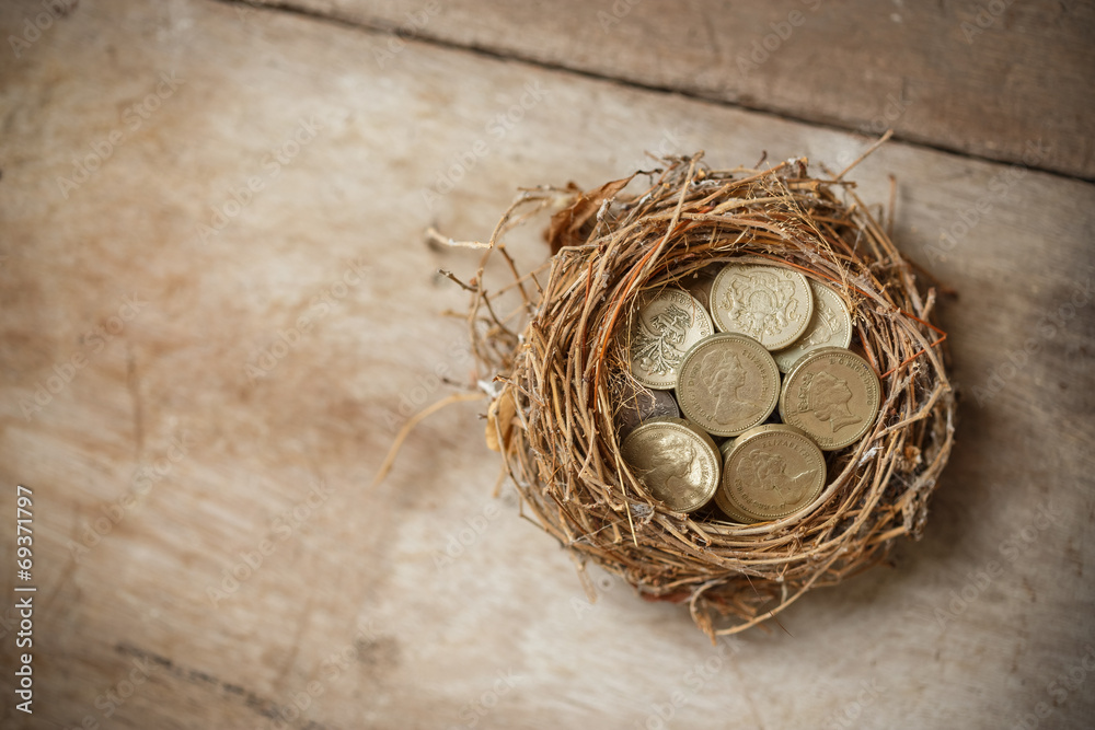 British Pound Coins with Bird Nest and Broken egg British Pound Coins with Bird Nest and Broken egg