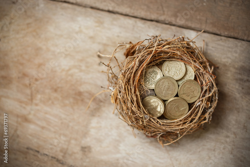 British Pound Coins with Bird Nest and Broken egg