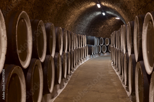 Wine cellar photo