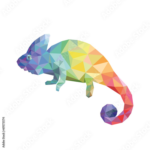 Chameleon color