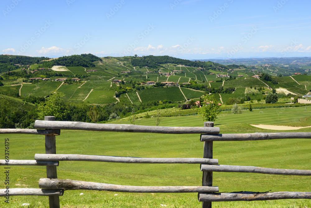 Summer landscape in Langhe (Italy)