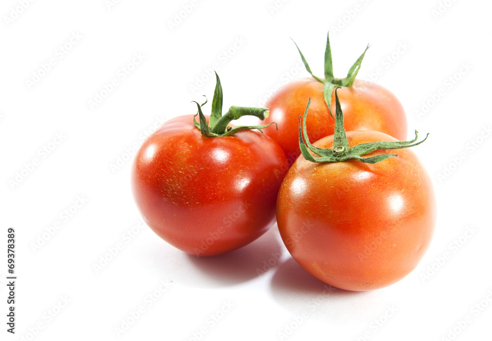 Tomato on white background