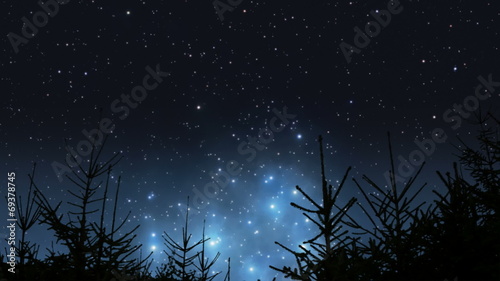Pleiades rising over the forest