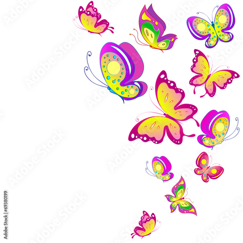 butterflies design