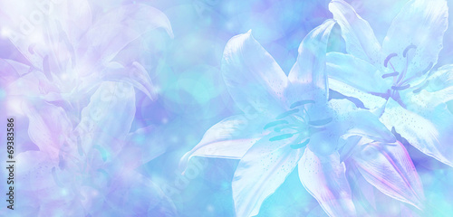 Fototapeta Naklejka Na Ścianę i Meble -  Light Blue Wedding Bokeh Banner Head