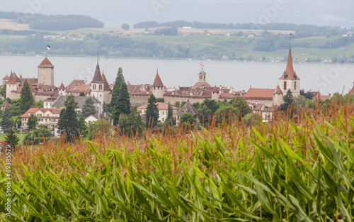 Murten, Altstadt, See, Landwirtschaft, Mont Vully, Schweiz photo