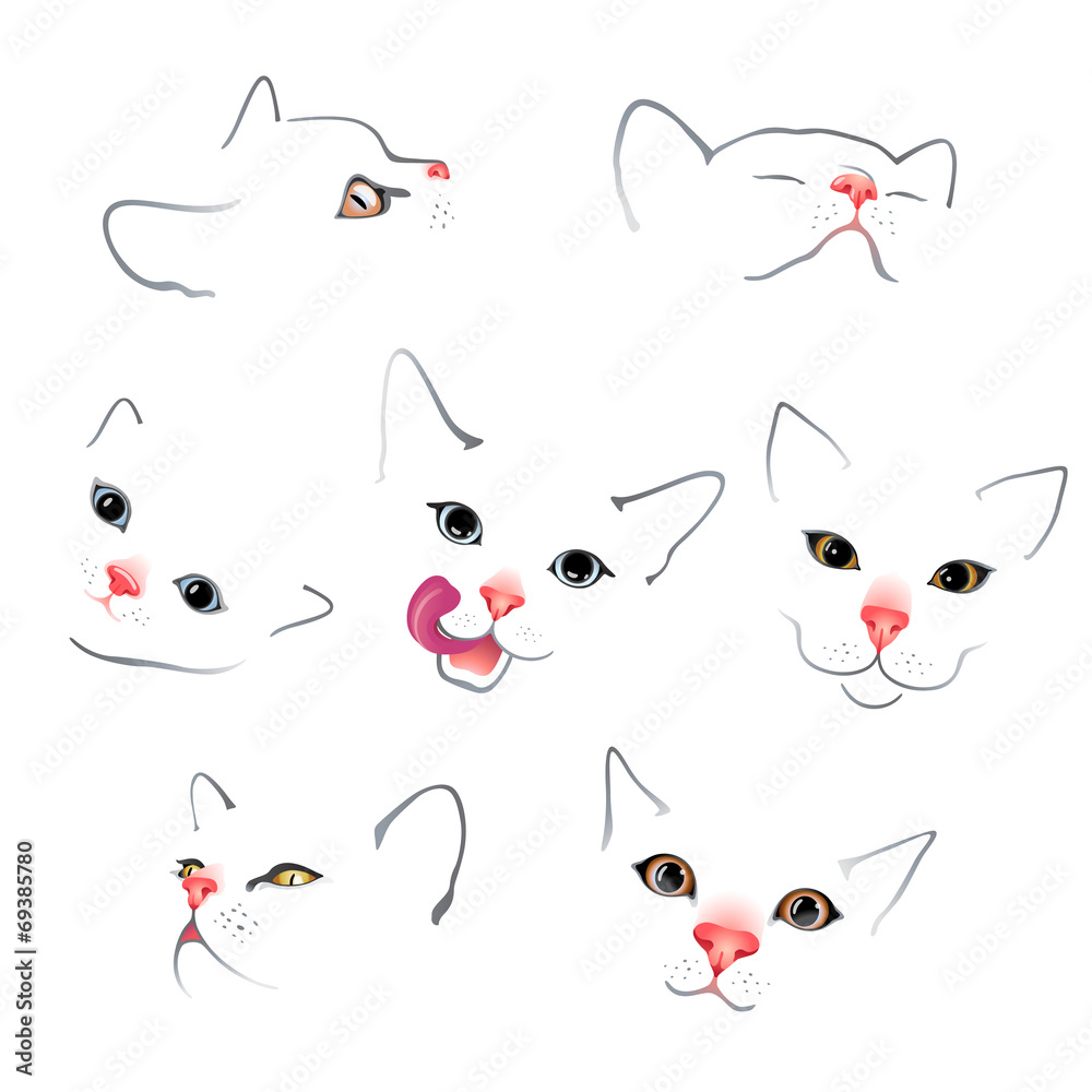 funny cat funny cat