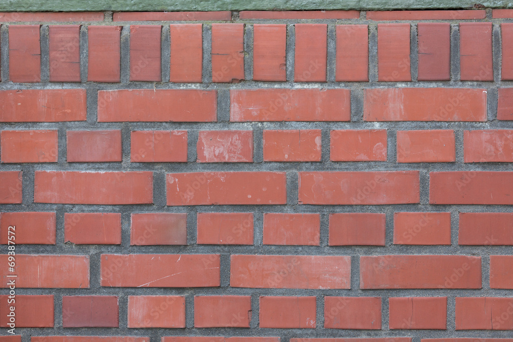 Fototapeta premium wall