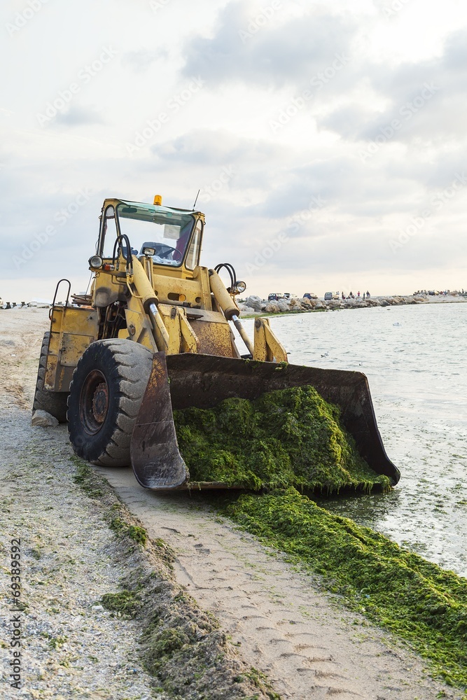 Big excavator to clean algae on the beach