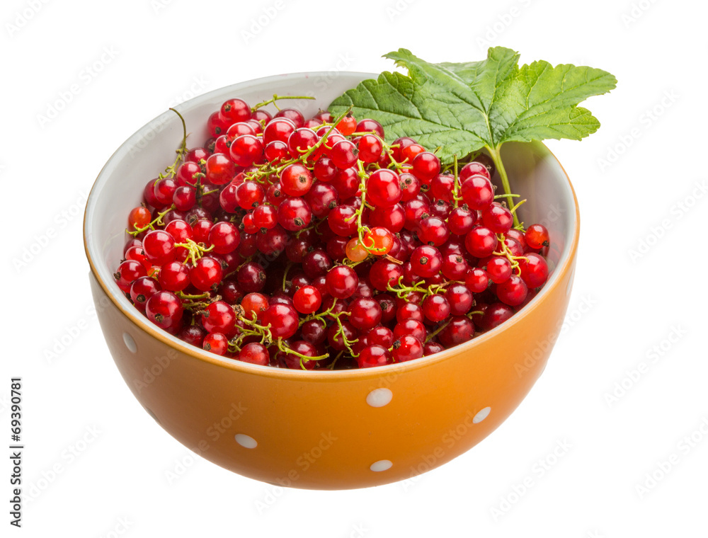 Red currant Red currant