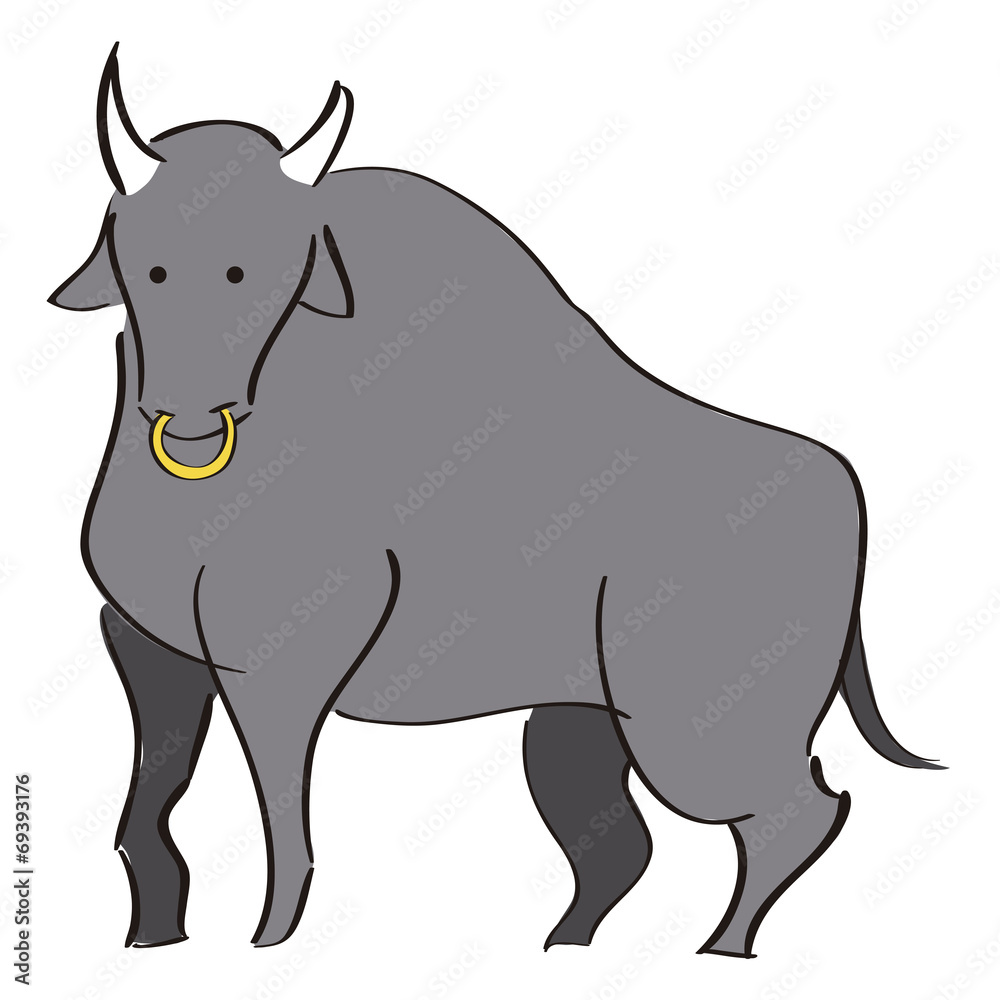 animals animals