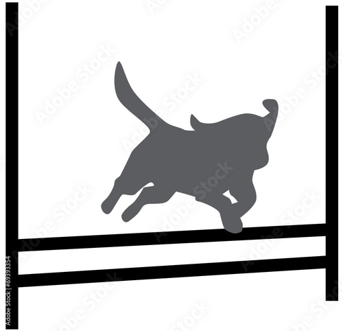 Agility