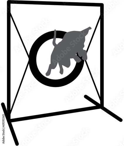 Agility