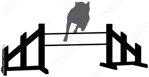 Agility