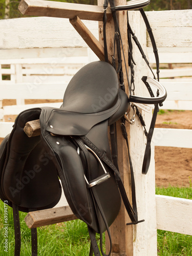 horse bridle and dressage saddle