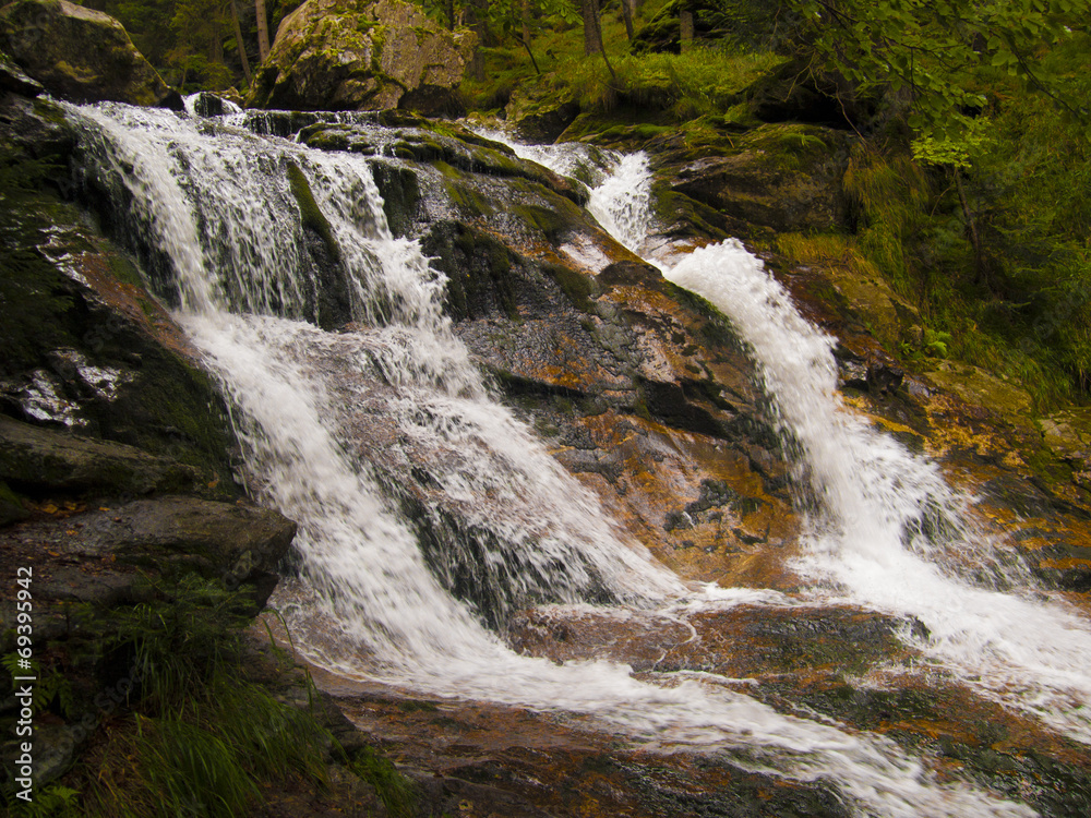 Obraz premium Rieslochschlucht