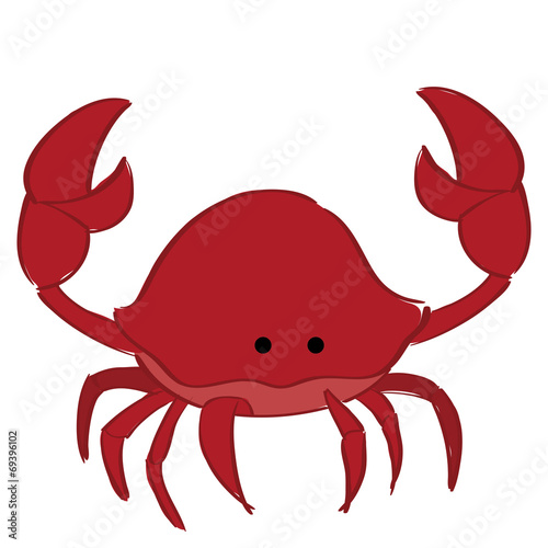 sea life