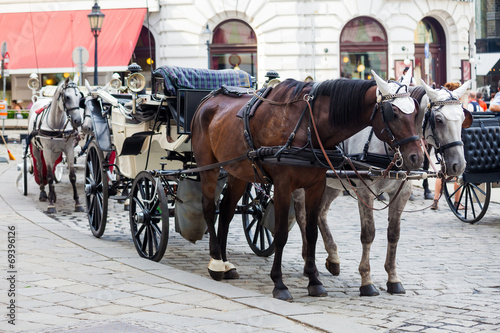 Traditional horse-driven carriage