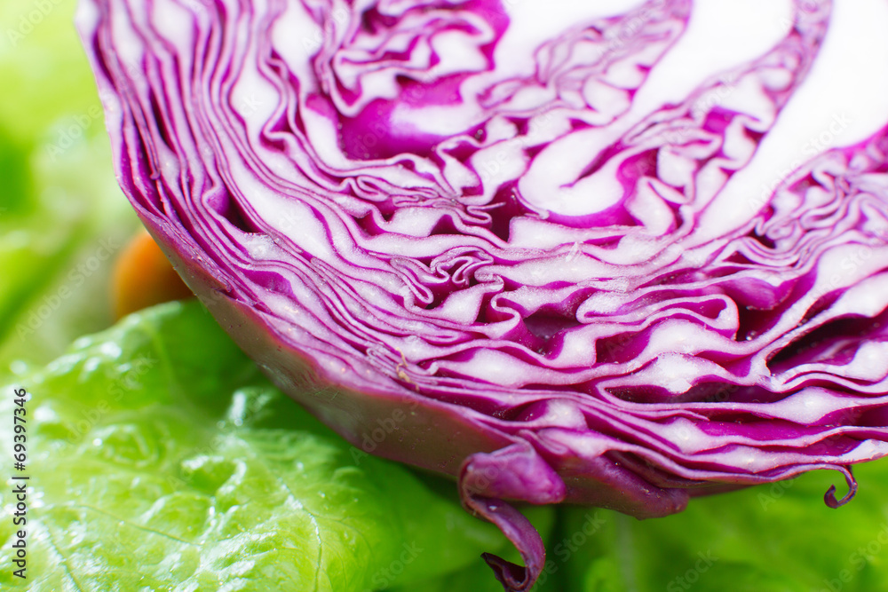 Obraz premium sliced ​​cabbage closeup