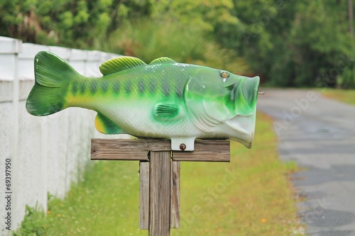 Fish Mailbox