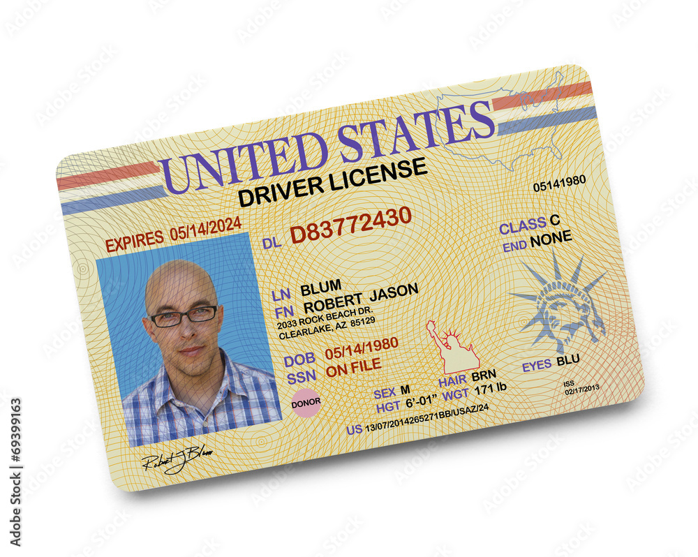 Naklejka premium Driver License
