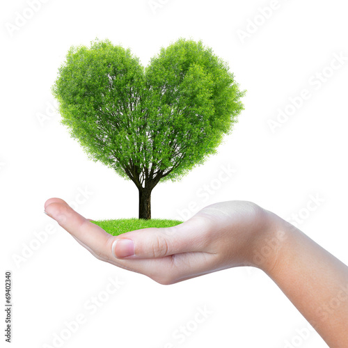 growing tree in the shape heart in hand isolated on white
