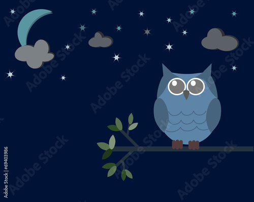 Owl in the night time