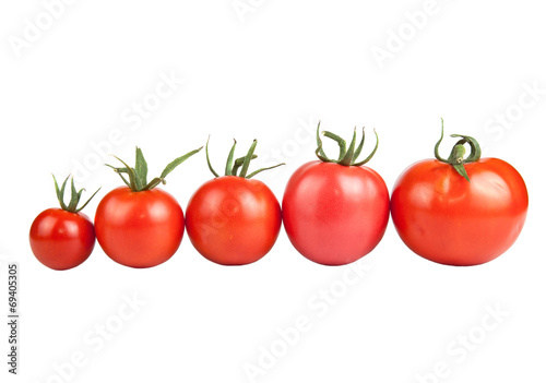 tomatoes constructed in a row isolated on white background