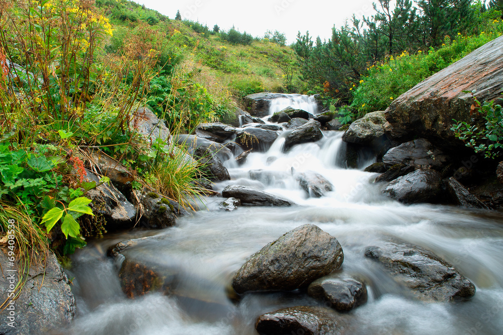 Fototapeta premium Spring river