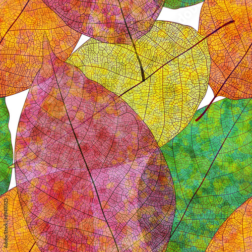 Seamless pattern, autumn leaves. Vector, EPS10