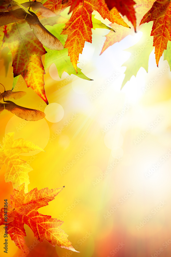 Naklejka premium Art abstract autumn background