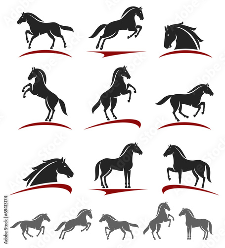 Horse set. Vector