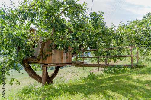 Baumhaus