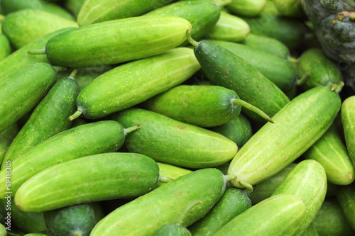 Fresh cucumber in the market