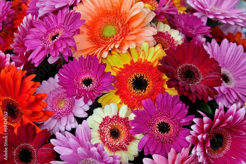 A bouquet of gerberas. Floral background.