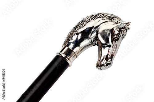 cane handle in the form of a horse's head
