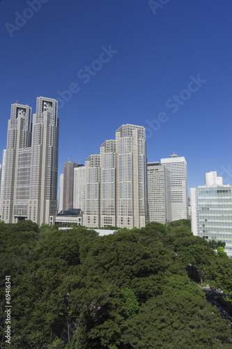 快晴青空 新宿中央公園の緑と新宿高層ビル群 イメージ 059
