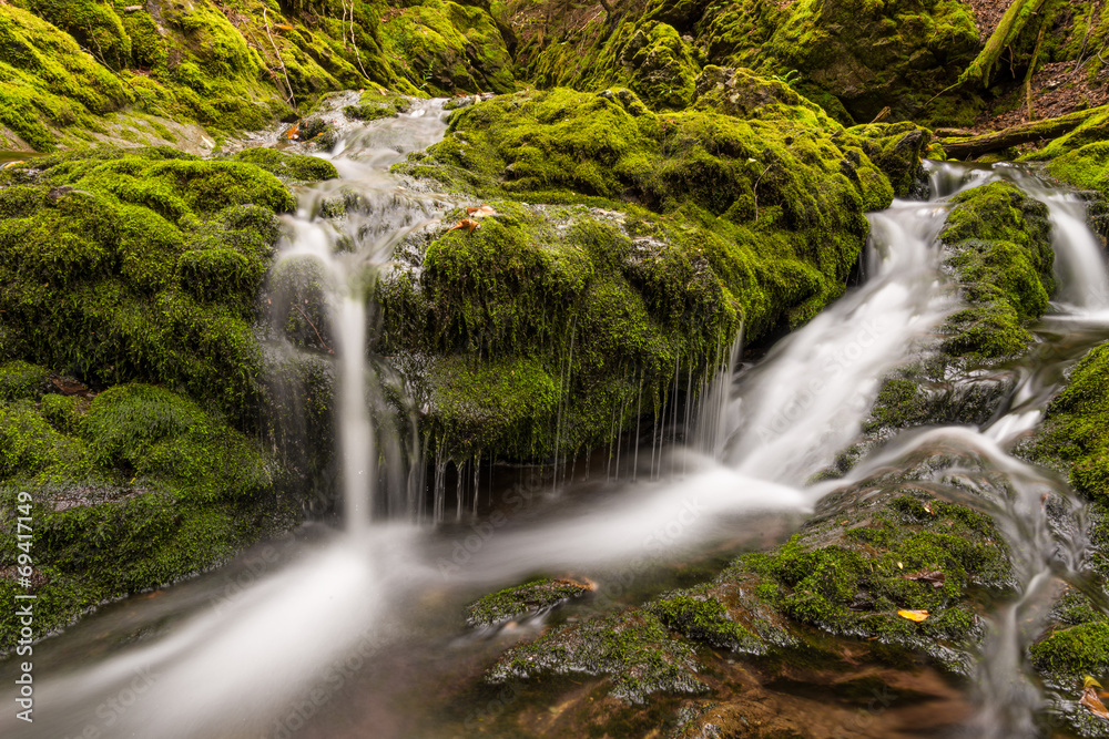 Obraz premium Close-up of small creek in the park (Slow shutter speed)