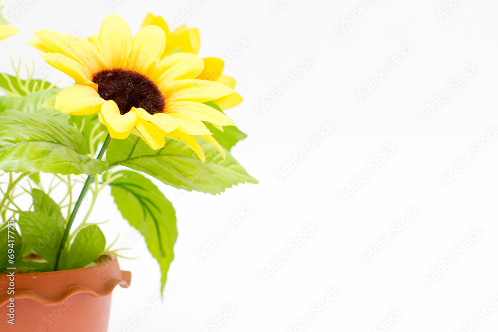 Obraz premium plastic sunflower isolated on white background