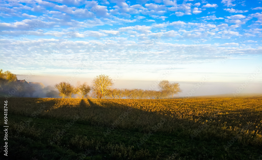 Obraz premium Campagne en hiver