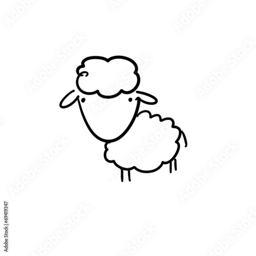 cute sheep