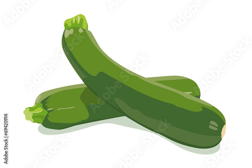 Zucchini Vector Illustration