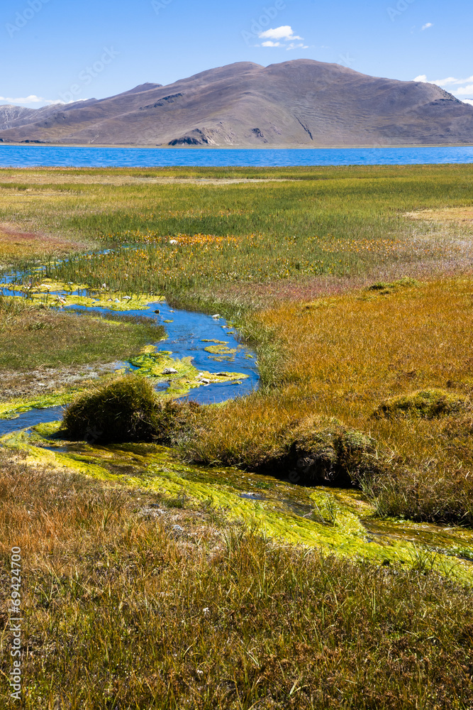 landscape landscape