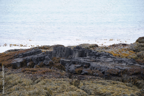 côte sauvage islandaise